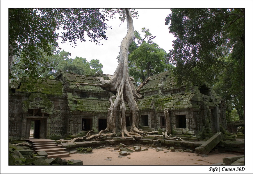 2006 - 07 - Temple angkor - Ta Prohm 13